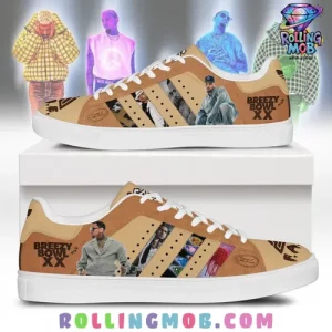 Chris Brown Breezy Bowl XX Limited Stan Smith Shoes